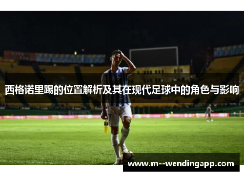 西格诺里踢的位置解析及其在现代足球中的角色与影响