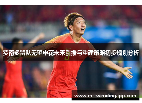 费南多留队无望申花未来引援与重建策略初步规划分析