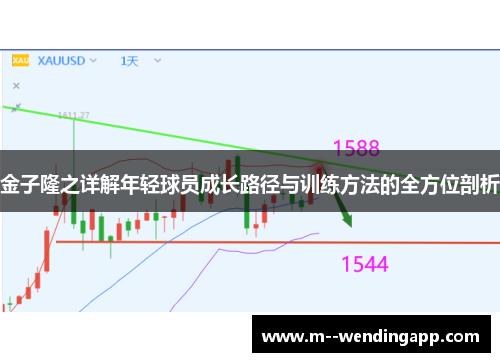 金子隆之详解年轻球员成长路径与训练方法的全方位剖析