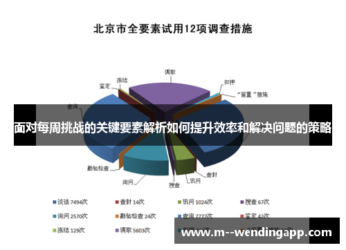 面对每周挑战的关键要素解析如何提升效率和解决问题的策略